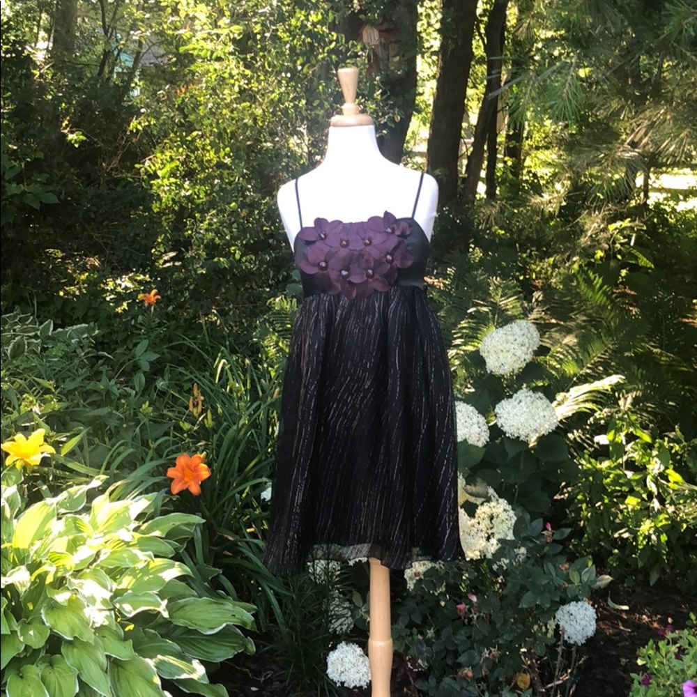 Anthropologie black and purple silk dress